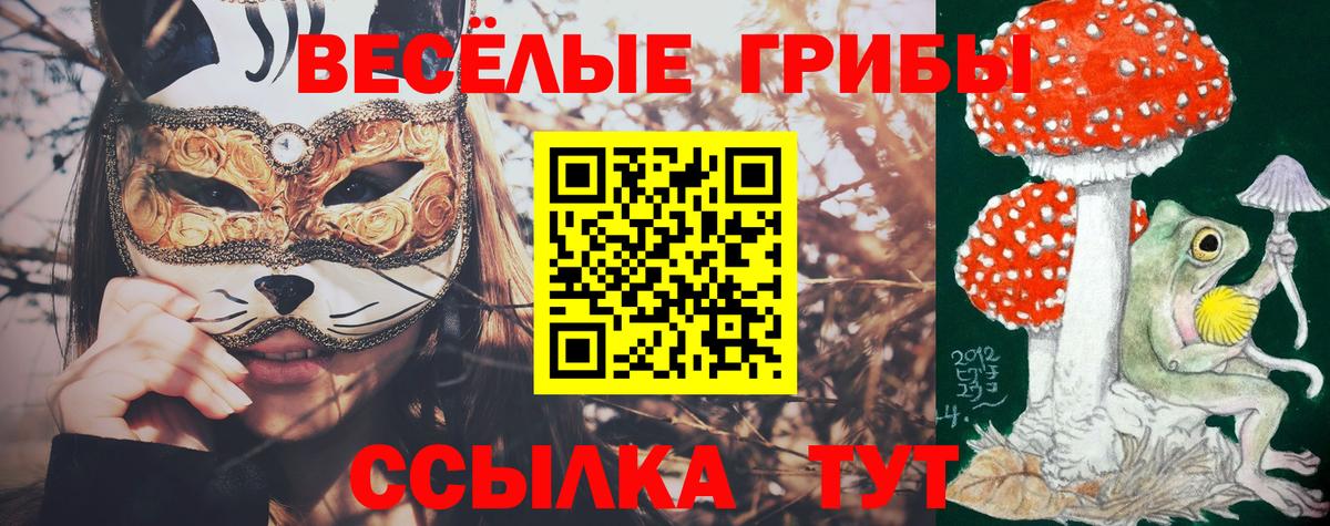 Псилоцибиновые грибы мицелий  Вход с VPN  Галлюциногенные грибы Magic Shrooms  Россия 